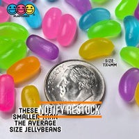 Jellybeans Realistic Candy Looking Fake Food 3D Plastic Charms Jelly Beans