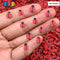 Ladybugs Polymer Clay Fimo Slices Fake Sprinkles Ladybug Decoden Jimmies Sprinkle