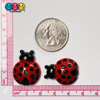 Ladybug Flatback Charms Cabochons Lady Bug Beatle Insect Decoden 10 Pcs Charm