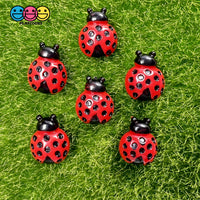 Ladybug Flatback Charms Cabochons Lady Bug Beatle Insect Decoden 10 Pcs Charm