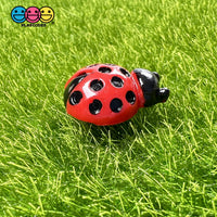 Ladybug Flatback Charms Cabochons Lady Bug Beatle Insect Decoden 10 Pcs Charm