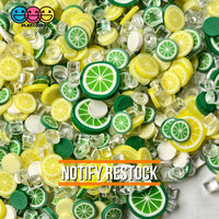 Lemon Lime Iced Mix Fimo Faux Mixed Sprinkles Slushies Fake Food Ice Funfetti 10 Grams Sprinkle