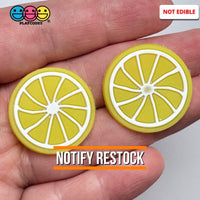 Lemon Slice Silicon Soft Bendable Fruit Flatback Cabochons Decoden Charm 10 Pcs Playcode3 Llc