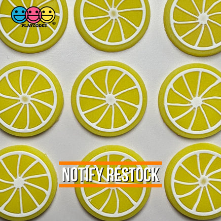 Lemon Slice Silicon Soft Bendable Fruit Flatback Cabochons Decoden Charm 10 Pcs Playcode3 Llc