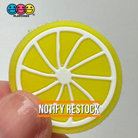 Lemon Slice Silicon Soft Bendable Fruit Flatback Cabochons Decoden Charm 10 Pcs Playcode3 Llc