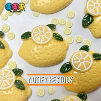 Lemons Flatback Fake Food Lemon Charms Decoden 10 Pcs Charm