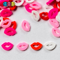 Lips 4 Colors Fimo Faux Sprinkle Mix Valentines Day Fake Bake Funfetti