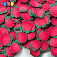 Lychee Fimo Slices Fake Sprinkles Whole Lychees Faux Fruit Decoden Funfetti 10Mm 20 Grams Sprinkle