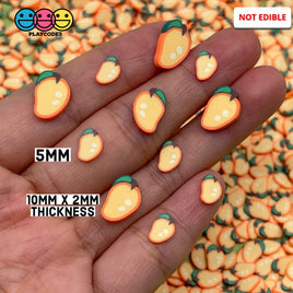 Mango Fimo Fruit Slices Fake Sprinkles Decoden Jimmies Sprinkle