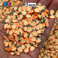 Mango Fimo Fruit Slices Fake Sprinkles Decoden Jimmies Sprinkle