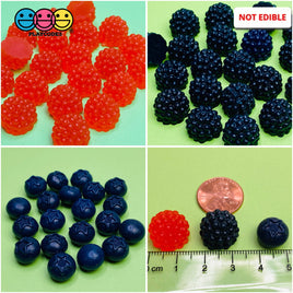 Blue Berry Raspberry Black 3D Charms 20Pcs Charm