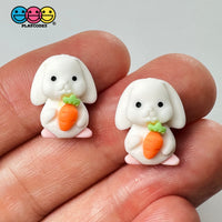 Mini Rabbit Holding Carrots Easter Kawaii Charm Flat Back Cabochons Decoden 10 Pcs Playcode3 Llc