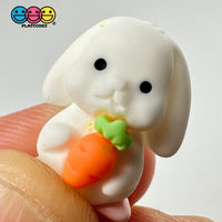 Mini Rabbit Holding Carrots Easter Kawaii Charm Flat Back Cabochons Decoden 10 Pcs Playcode3 Llc