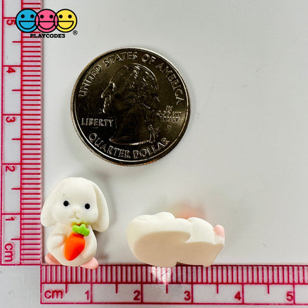 Mini Rabbit Holding Carrots Easter Kawaii Charm Flat Back Cabochons Decoden 10 Pcs Playcode3 Llc