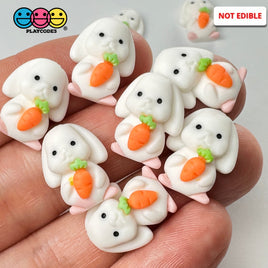 Mini Rabbit Holding Carrots Easter Kawaii Charm Flat Back Cabochons Decoden 10 Pcs Playcode3 Llc