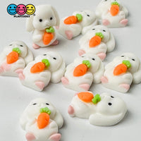 Mini Rabbit Holding Carrots Easter Kawaii Charm Flat Back Cabochons Decoden 10 Pcs Playcode3 Llc