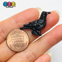 Mini Tiny Raven Crow Bird Human Skeleton Bone Halloween Holiday Cabochons Decoden Charm 6pcs PLAYCODE3 LLC Charm