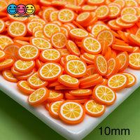 Orange Brightly Colored Fimo Slices Polymer Clay Oranges Fake Sprinkles Cabochons Sprinkle