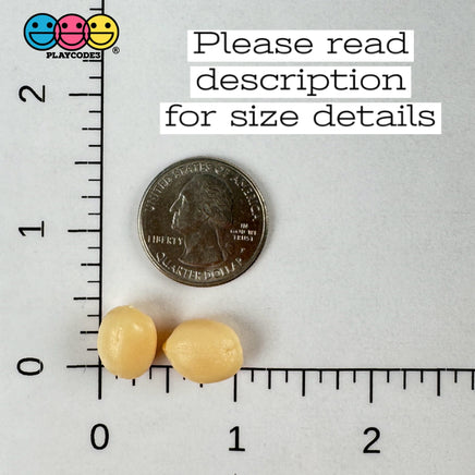 Peanut Raw Fake Food Blanched Plastic Resin Prop Realistic Actual Size 20 Pcs