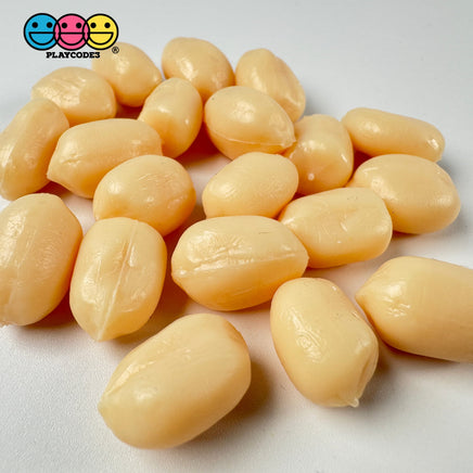 Peanut Raw Fake Food Blanched Plastic Resin Prop Realistic Actual Size 20 Pcs