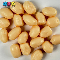 Peanut Raw Fake Food Blanched Plastic Resin Prop Realistic Actual Size 20 Pcs