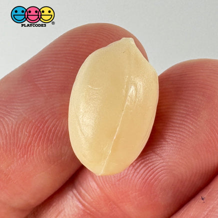 Peanut Raw Fake Food Blanched Plastic Resin Prop Realistic Actual Size 20 Pcs