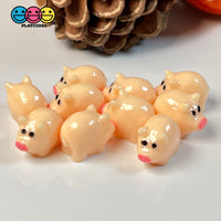 Piggy Bank Mini Pig Charm Cabochons Decoden 10 Pcs