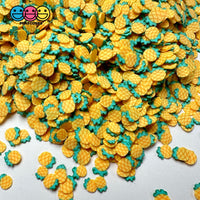 Pineapple 5Mm Fake Fruit Fimo Clay Sprinkles Decoden Jimmies Sprinkle
