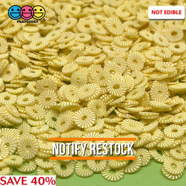 Pineapple Sliced Fimo Slices Fake Sprinkles Decoden Jimmies Sprinkle