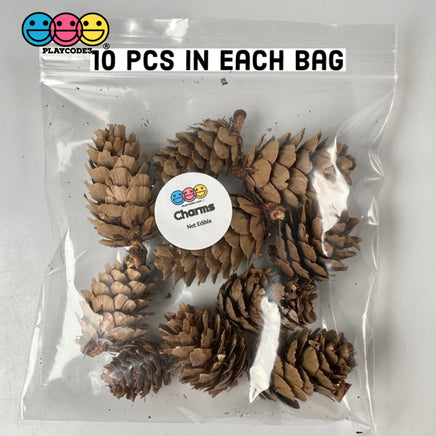 Pinecone Real Natural Small Pinecones Various Sizes 10 Pcs Playcode3 Llc Woodcraft