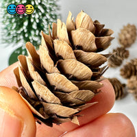 Pinecone Real Natural Small Pinecones Various Sizes 10 Pcs Playcode3 Llc Woodcraft