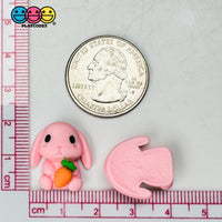 Pink Rabbit Bunny Carrots Easter Kawaii Charm Flat Back Cabochons Decoden 10 Pcs Playcode3 Llc