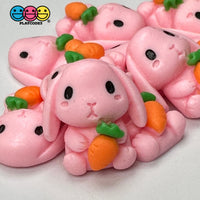 Pink Rabbit Bunny Carrots Easter Kawaii Charm Flat Back Cabochons Decoden 10 Pcs Playcode3 Llc