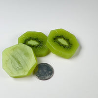 Kiwi Sliced Fake Food Fruit NOT a Toy Realistic Imitation Life Like Bendable Flatback PVC Plastic 5 pcs