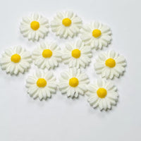 Daisy Flower Flatback Charms Cabochons Flowers Spring Decoden 10 pcs