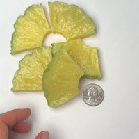 Fake 3D Pineapple Slices Food Prop Faux Kitchen Decor Realistic Plastic Decoden 5pcs