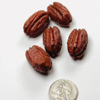Fake Pecan Realistic Looking NOT EDIBLE Nuts Flatback 3D Charms for Fake Bake, Slime Supplies, Decoden (5pcs)