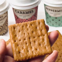 Graham Cracker Square Imitation Fake Food Prop Plastic PVC 4/10 pcs