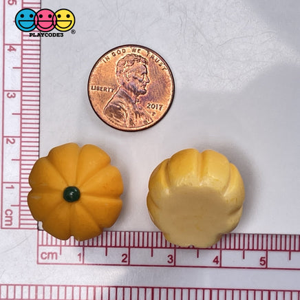 Pumpkin Fairytale Mini Flatback Charm Halloween Thanksgiving Fall Cabochons 10 Pcs