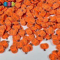 Pumpkin Whole Fimo Slices Polymer Clay Fake Sprinkles Halloween Funfetti Confetti 10/5 Mm Sprinkle