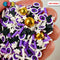 Purple Eyeball Black Bat Gold Beads Halloween Holiday Fake Clay Sprinkles Decoden Fimo Jimmies