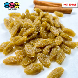 Raisins Green Hunza Raisin Realistic Imitation Fake Food Faux Fruit Grape Life Like Plastic Resin 25