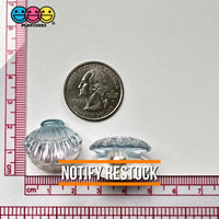 Sea Shell With Pearl Inside Charm Shells Plastic Resin Pearls Cabochons 10 Pcs