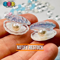 Sea Shell With Pearl Inside Charm Shells Plastic Resin Pearls Cabochons 10 Pcs