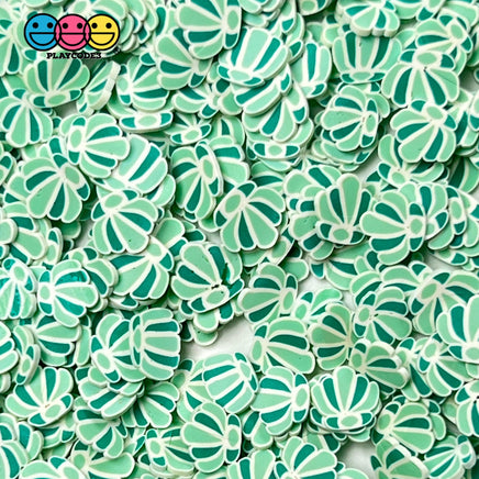 Sea Shells Green Fake Clay Sprinkles Fimo Flowers Decoden Jimmies Funfetti 10 Grams Sprinkle