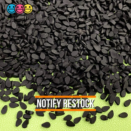 Sesame Seed Clay Sprinkles Realistic Fake Food 20/100G 100 Grams / Black Sprinkle