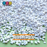 Sesame Seed Clay Sprinkles Realistic Fake Food 20/100G 100 Grams / White Sprinkle