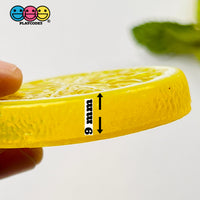 Slice Citrus Fruit Charms Faux Fruits Slices Lemon Orange Lime Plastic Not Bendable Translucent Fake