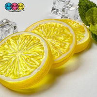 Slice Citrus Fruit Charms Faux Fruits Slices Lemon Orange Lime Plastic Not Bendable Translucent Fake