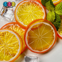 Slice Citrus Fruit Charms Faux Fruits Slices Lemon Orange Lime Plastic Not Bendable Translucent Fake